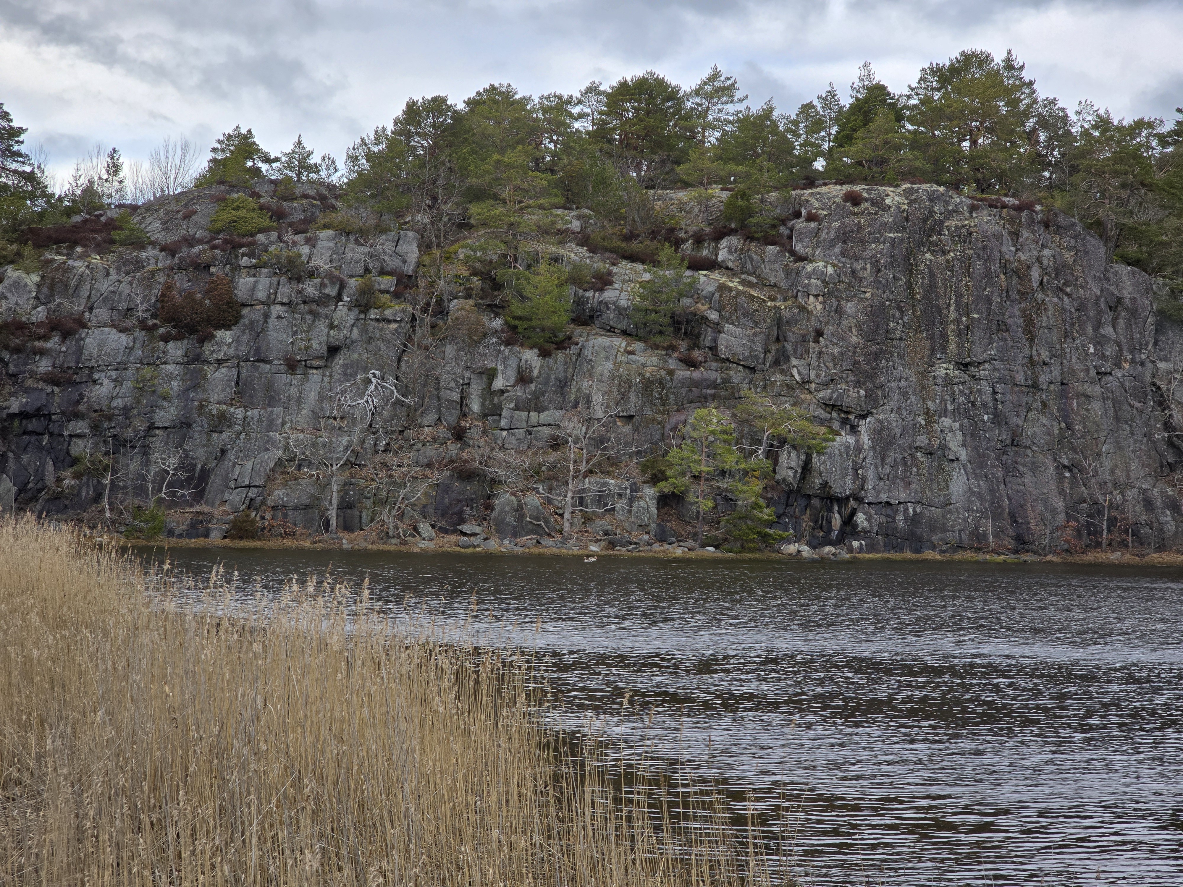 Rock, forest and water in Southern Norway