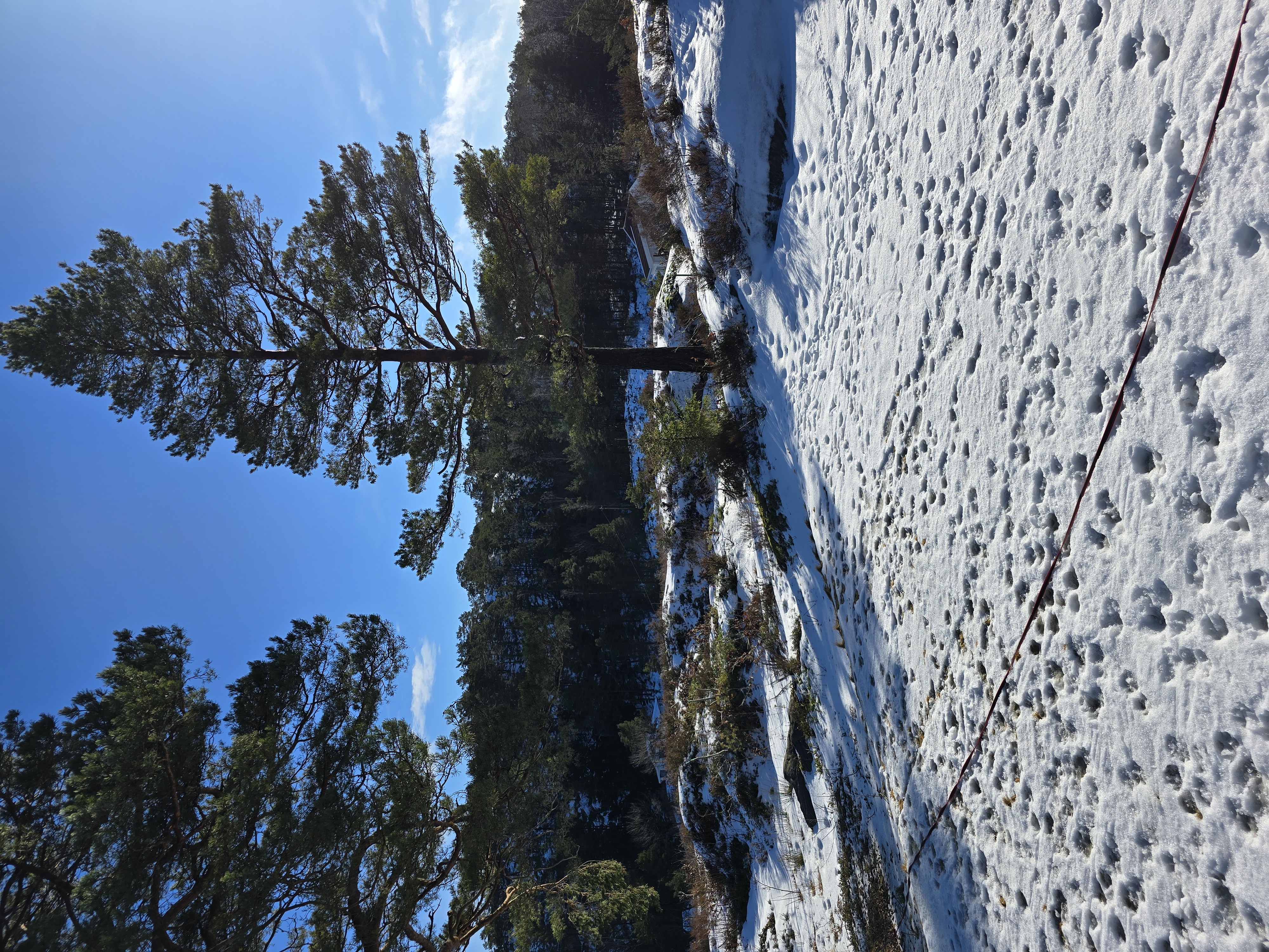 Winter landscape near Risør